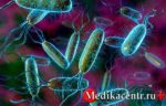 Дисбактериоз и его разновидности